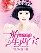 好孕鲜妻，一胎生两宝